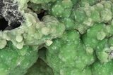 Botryoidal, Vibrant Green Wavellite Formation - Arkansas #206206-5